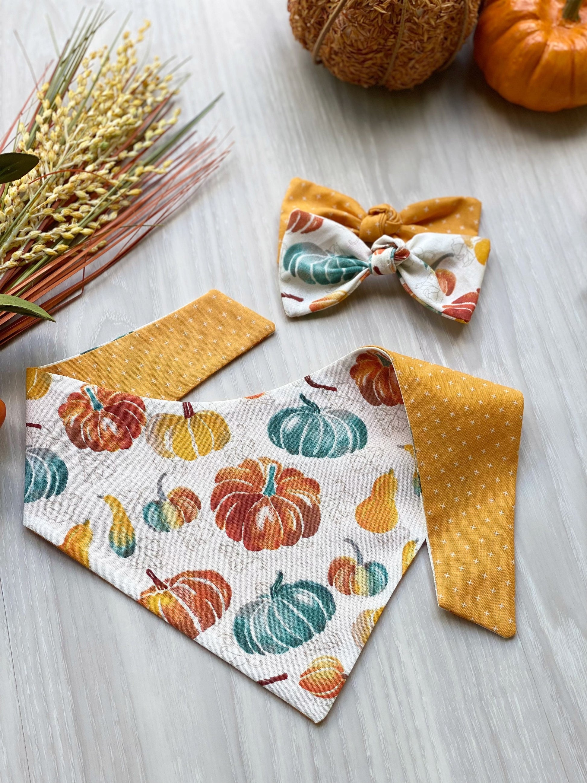 Pumpkin Fall Dog Bandana, Snap On, Bow & Scrunchie Set