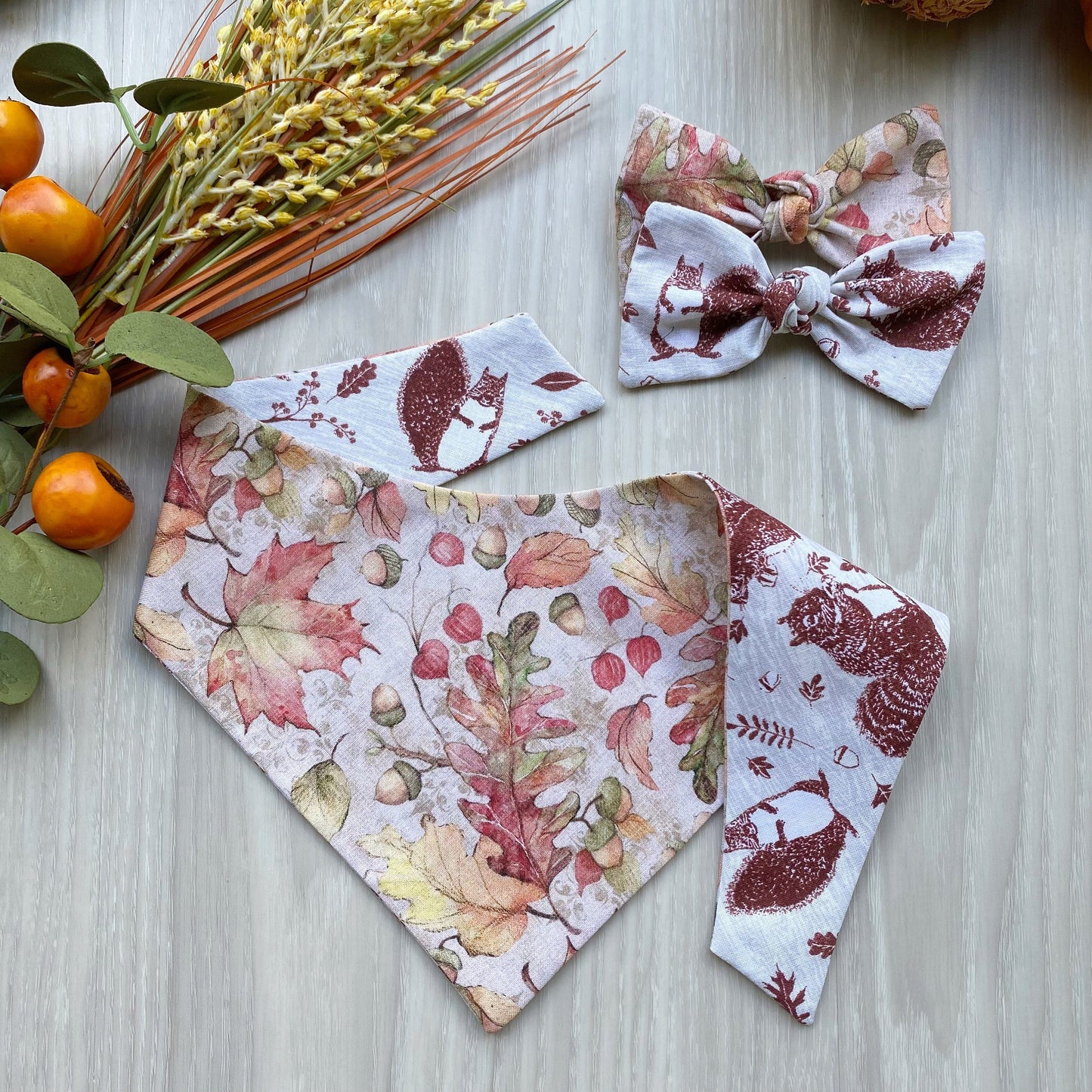 Nutty Squirrel Fall Dog Bandana with Matching Hair-Bow