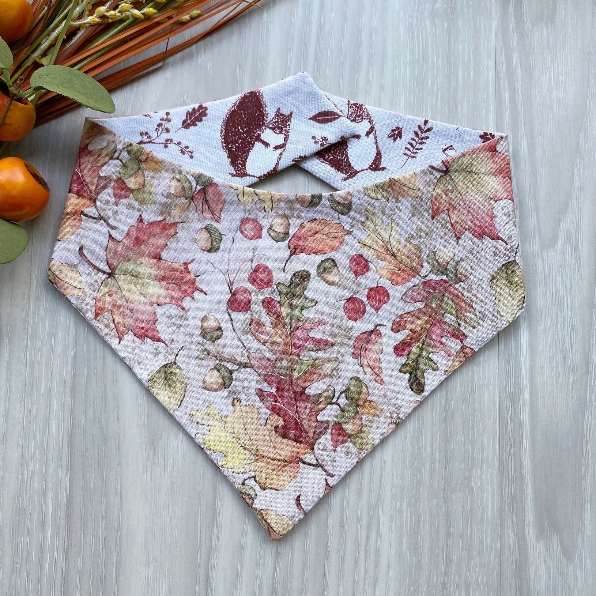 Nutty Squirrel Fall Dog Bandana with Matching Hair-Bow