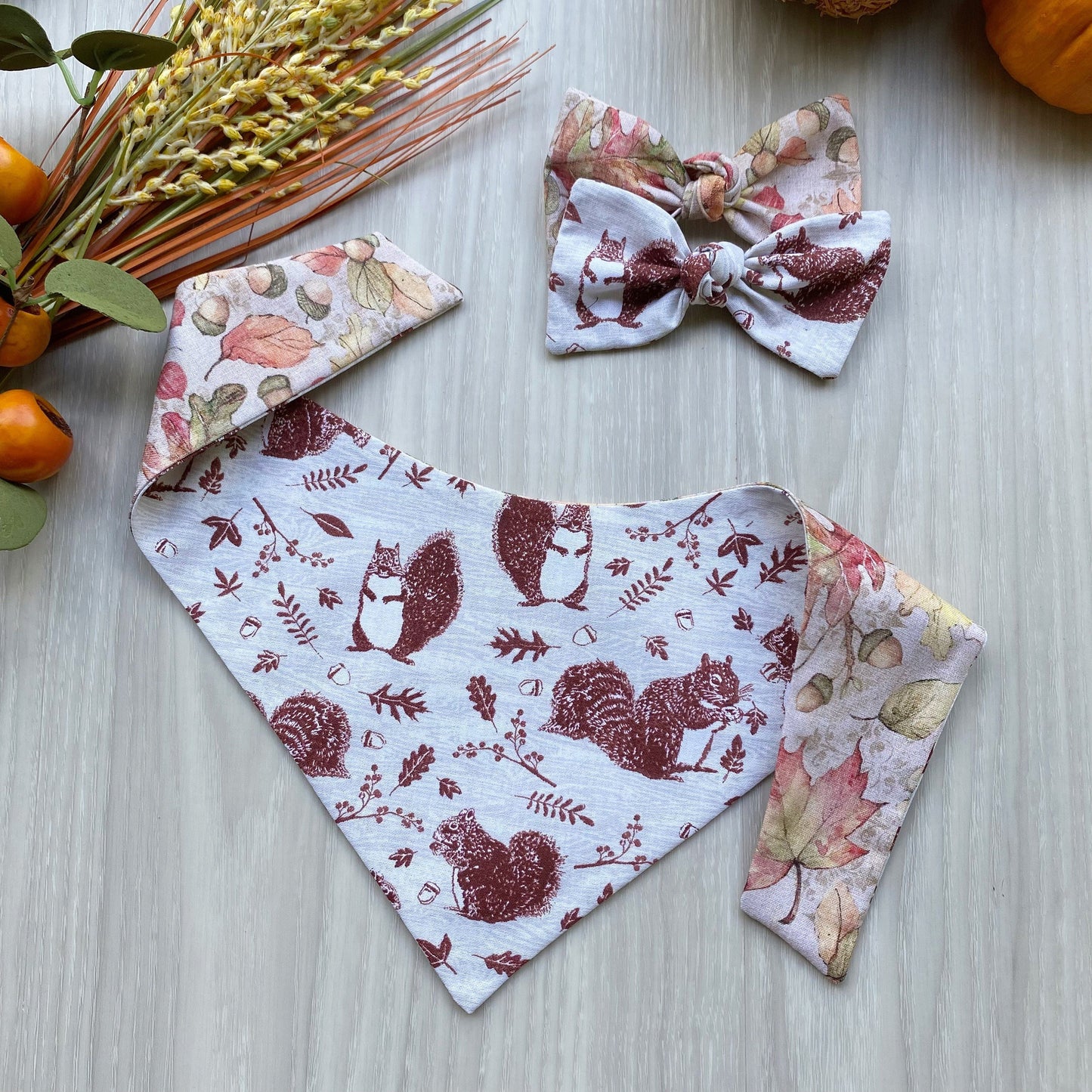 Nutty Squirrel Fall Dog Bandana with Matching Hair-Bow