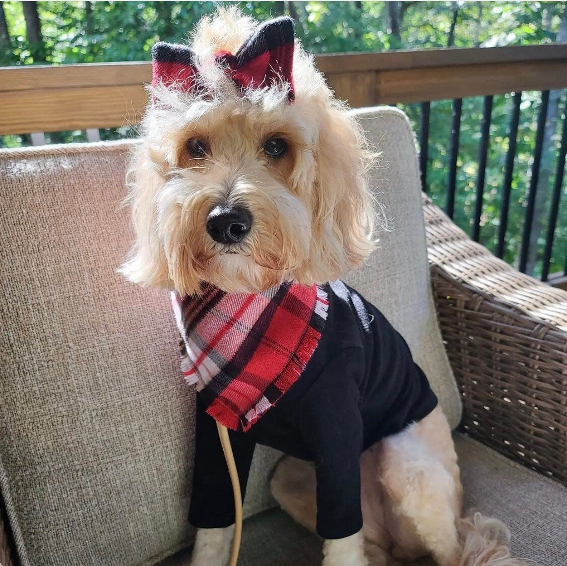 Plaid Pet Bandana, Reversible Dog Scarf, Snaps On