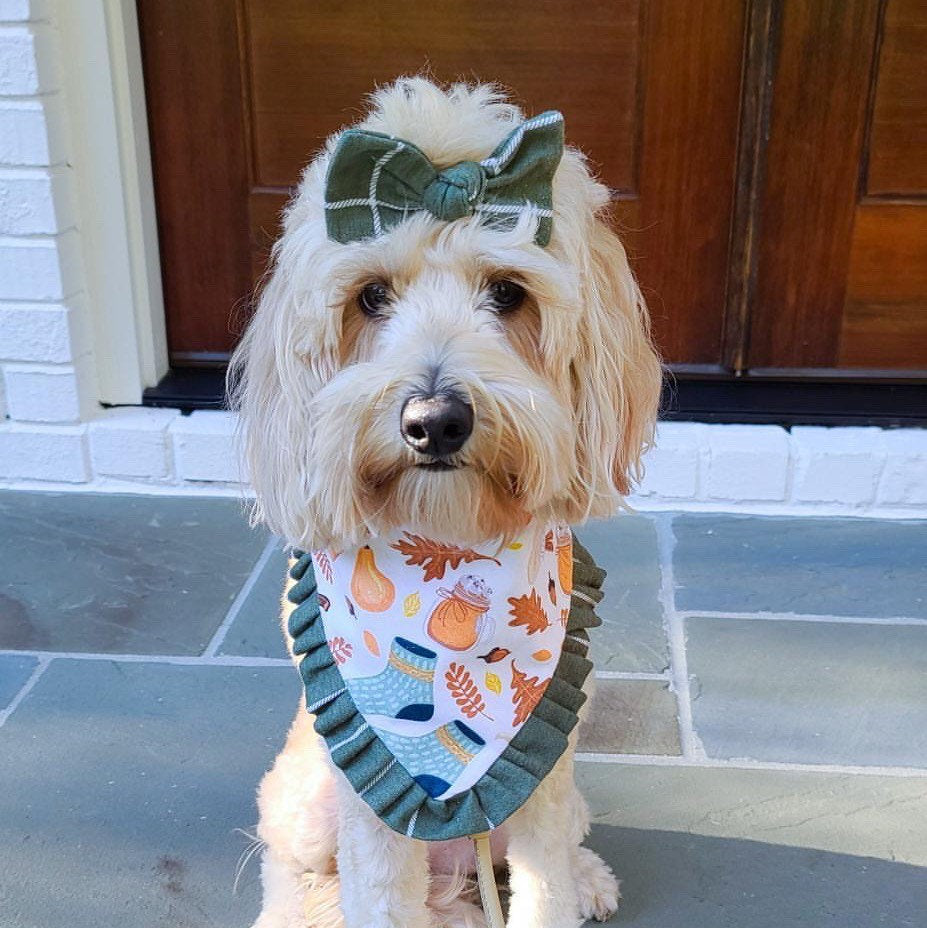 Thanksgiving Dog Bandana with Ruffle, Snap On, Fall Bow