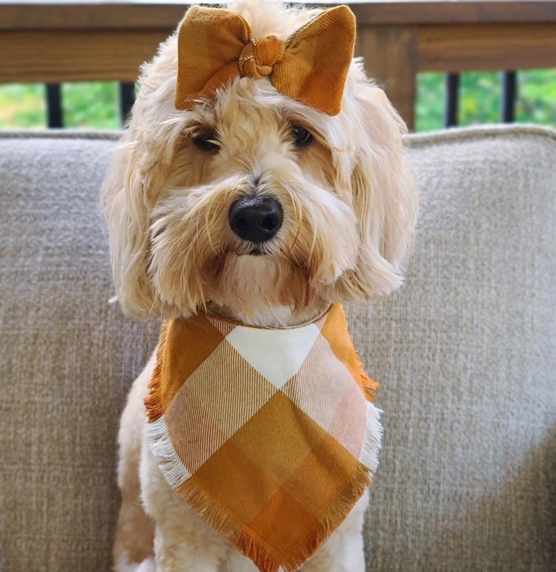 Plaid Dog Bandana, Mustard Puppy Bow, Reversible Pet Scarf