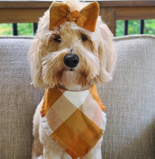 Plaid Dog Bandana, Mustard Puppy Bow, Reversible Pet Scarf