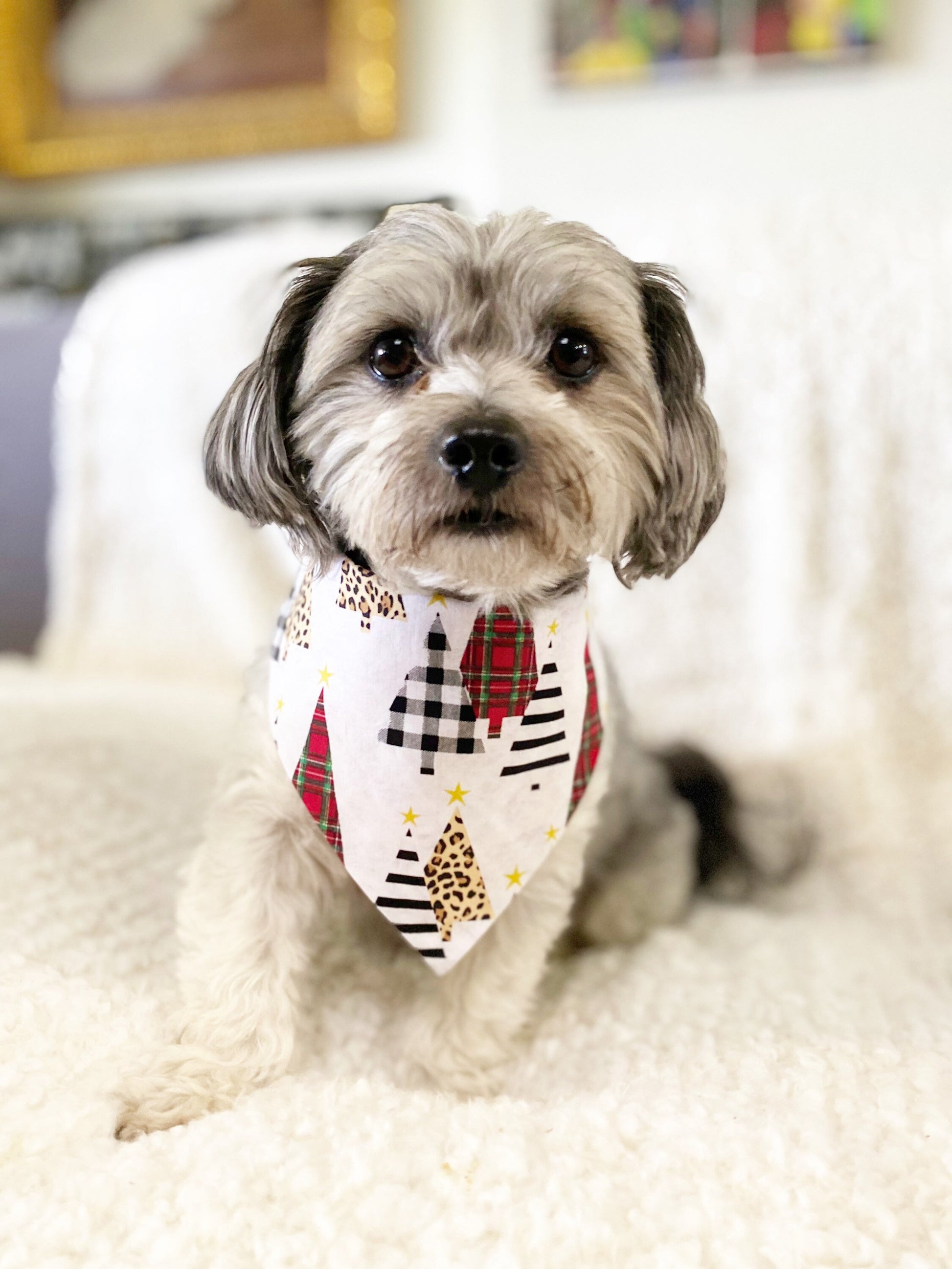 New! Christmas Dog bandana, Christmas tree Dog bandana, Snap on Bandana, Matching hair-bow, Bow and Bandana, Hair Scrunchies, red plaid
