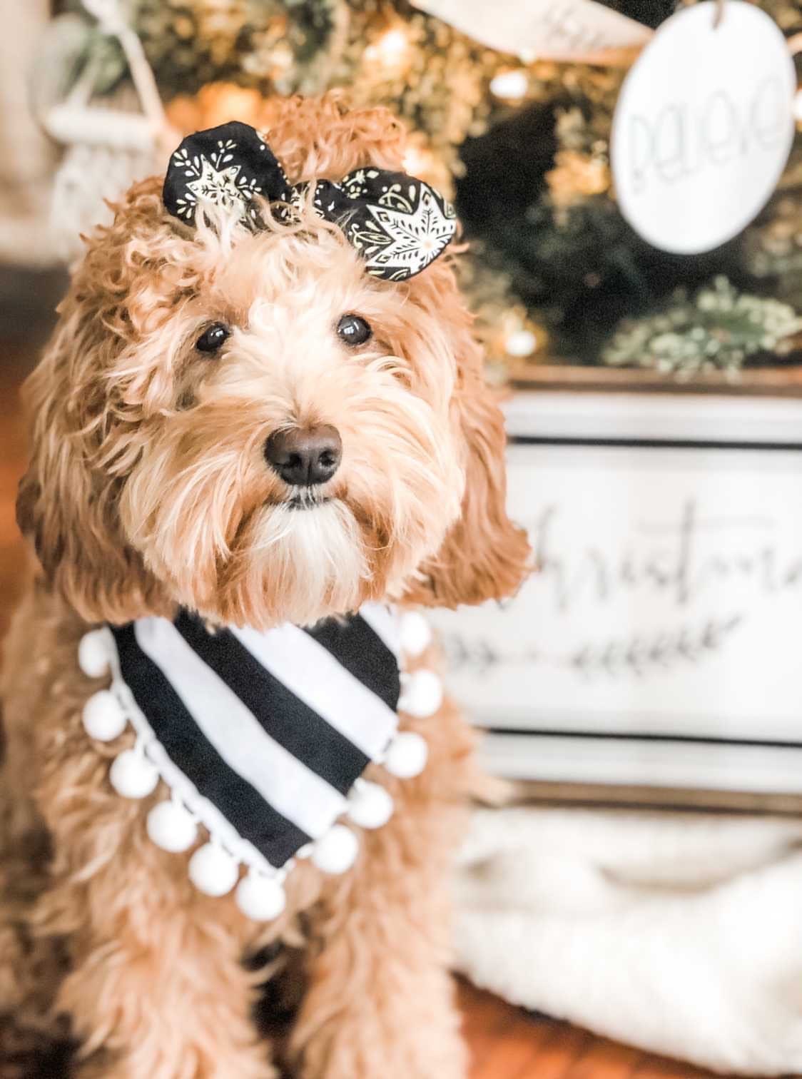 Holiday Snowflake Star Dog Bandana, Reversible Pet Scarf with Pompom