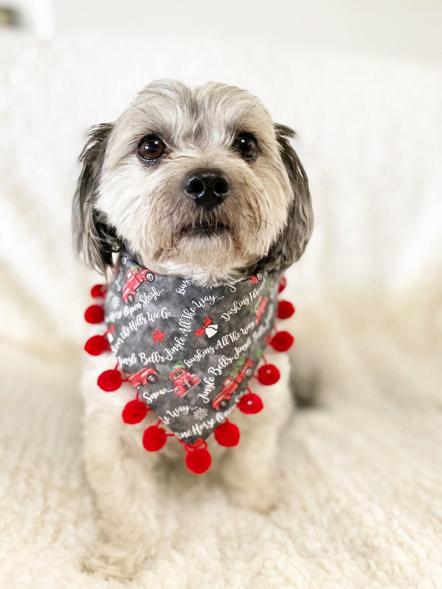 New Christmas dog bandana, red truck bandana, Seasons Dog Bandana, easy snap-on dog bandana, pet accessory, bandana for dogs, pompom bandana