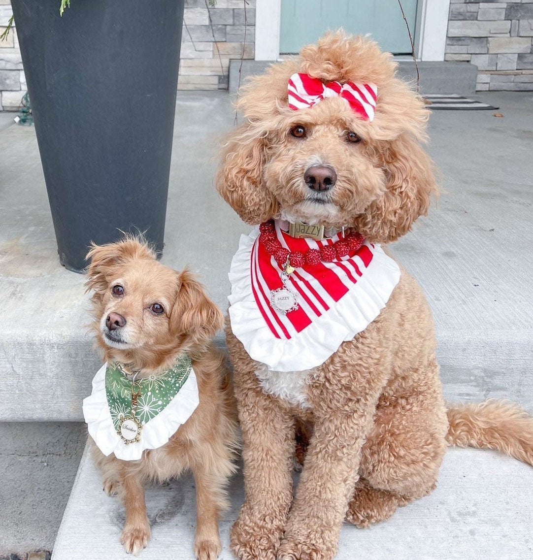 New! Red stripes with ruffles Dog bandana, Fancy bandana, Snap on Bandana, Matching hair-bow, Bow and Bandana, Christmas bandana