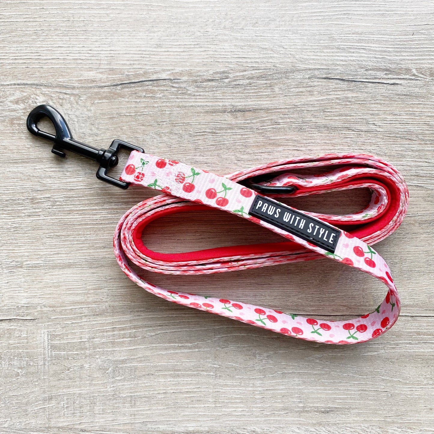 Dog Leash nylon webbing