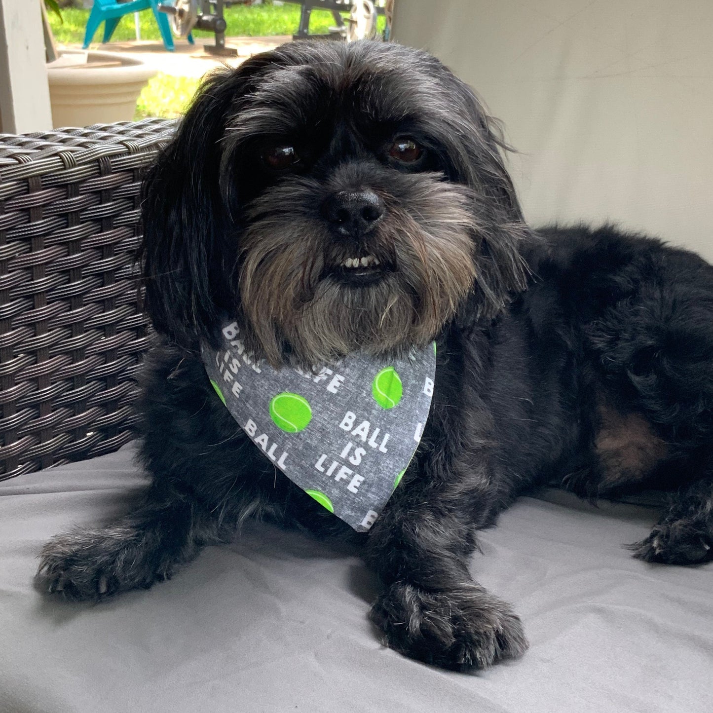 Ball is life Dog bandana Tennis ball bandana