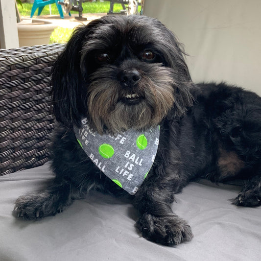 Ball is life Dog bandana Tennis ball bandana