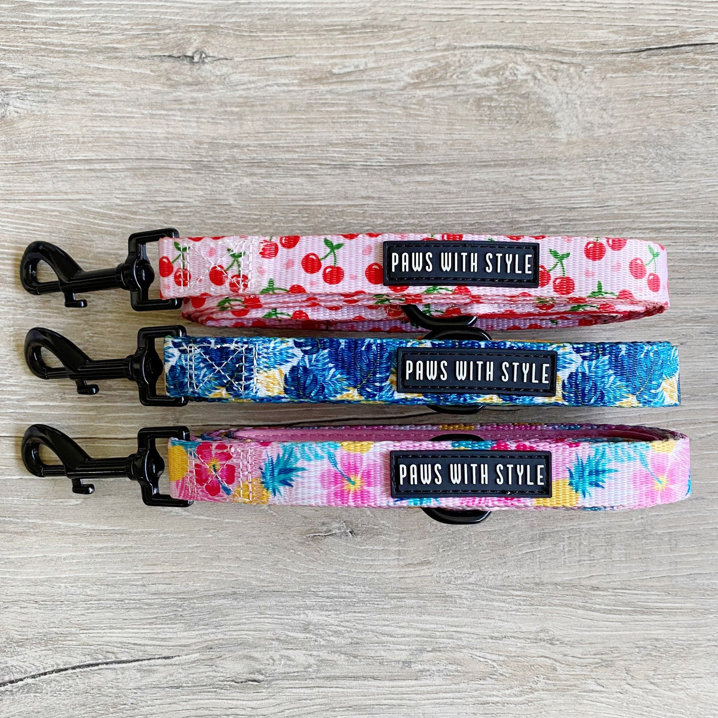 Dog Leash nylon webbing