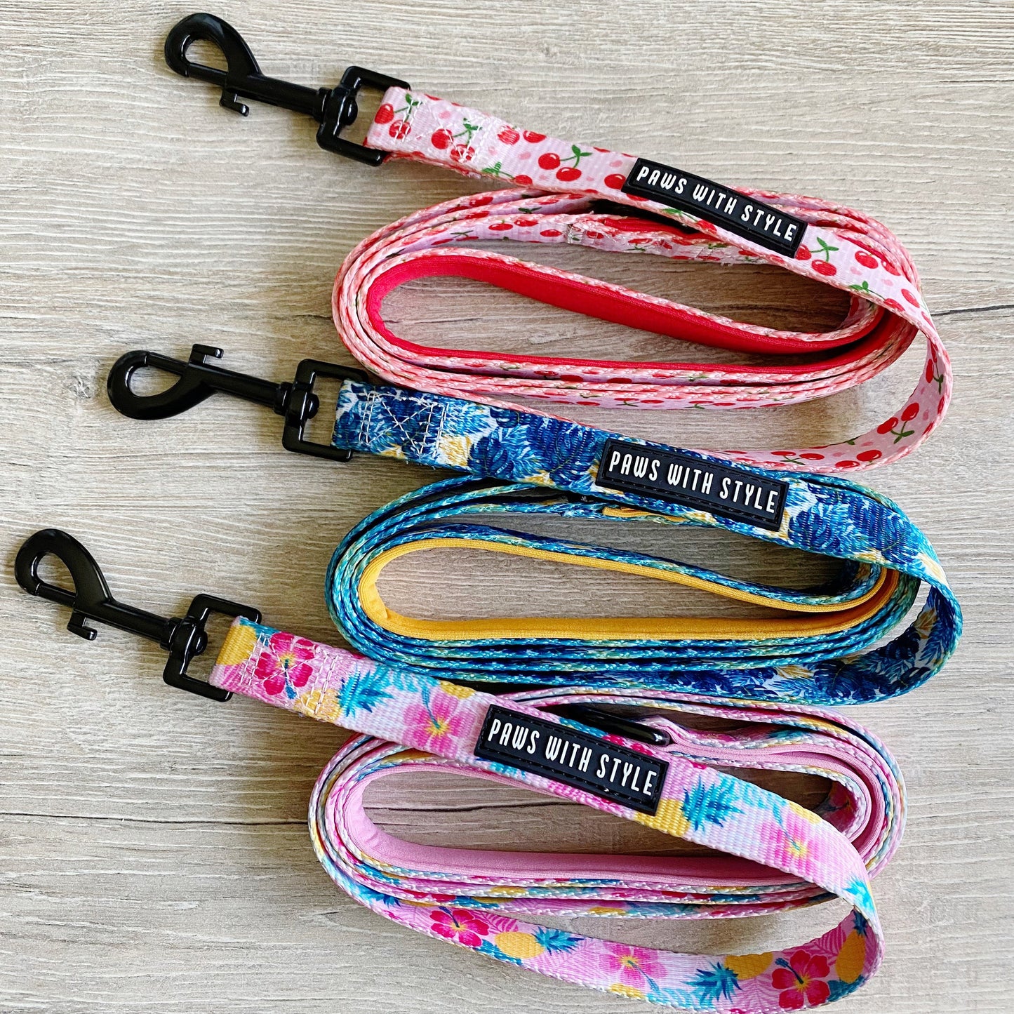 Dog Leash nylon webbing