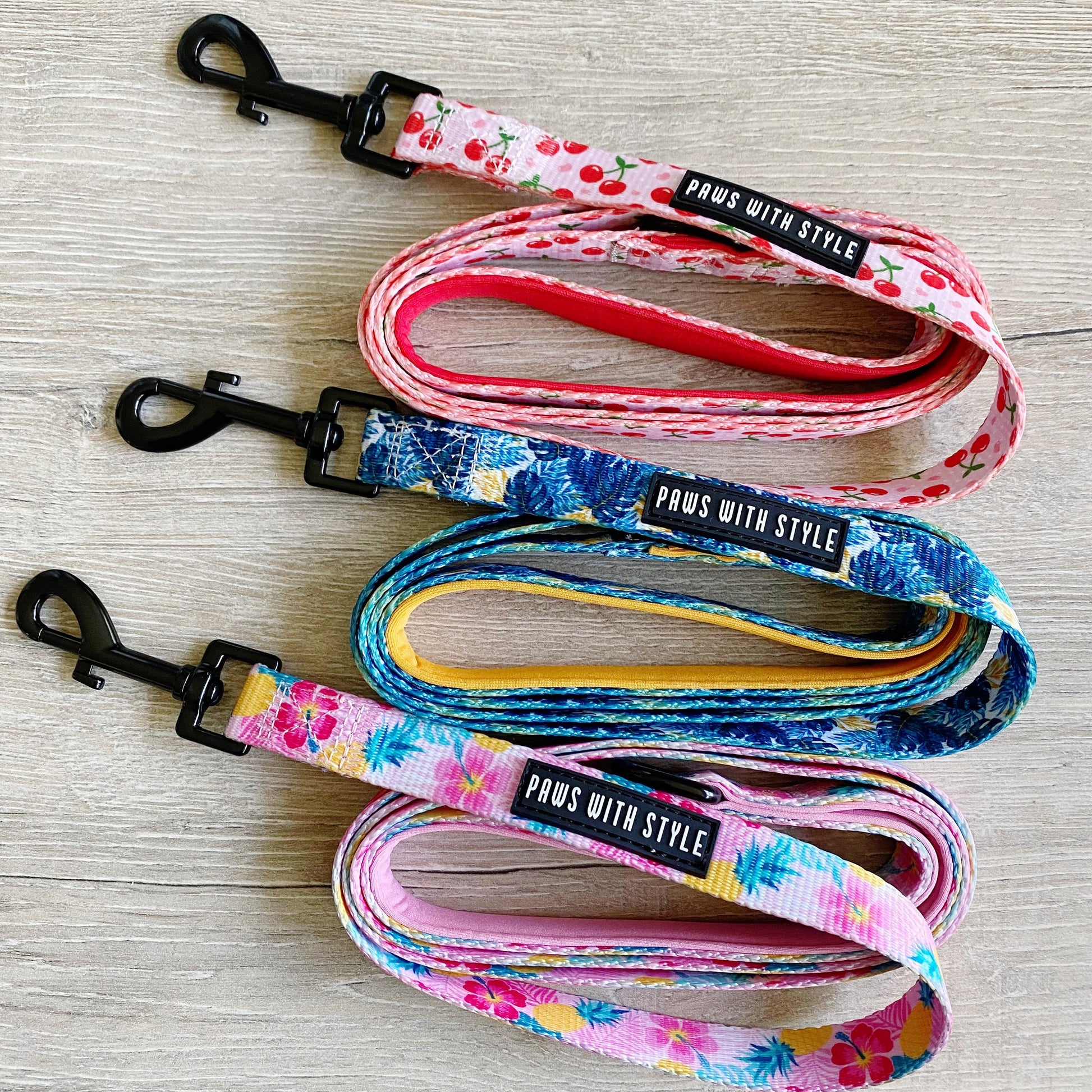 Dog Leash nylon webbing