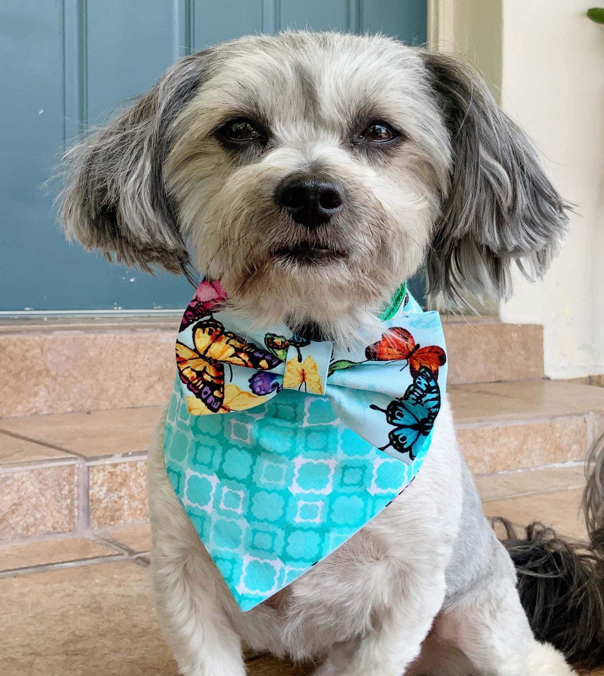 Summer dog bow tie, pink & yellow dog accessories, bowtie for dog collar, Sailor Bows for dog, Dog lover gift, Pet dog collar, Dapper bowtie