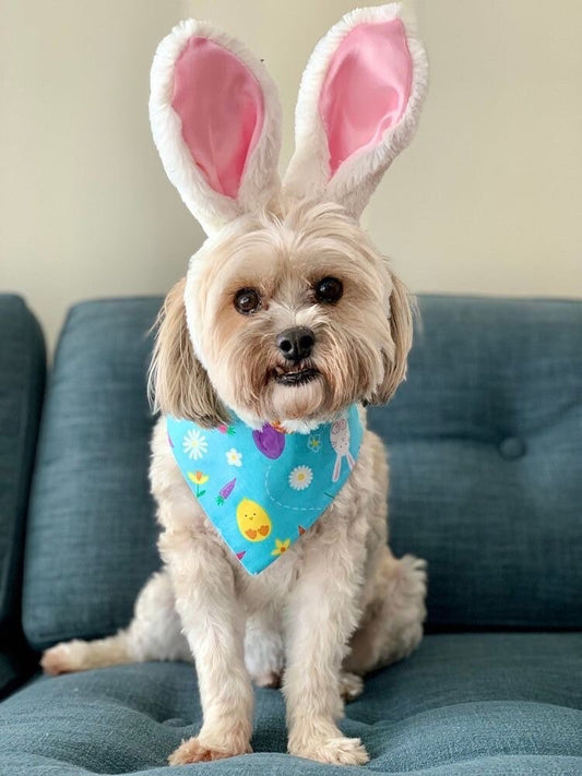 Easter Dog Bandana with Bow, Spring Floral, Snap On Pet Scarf