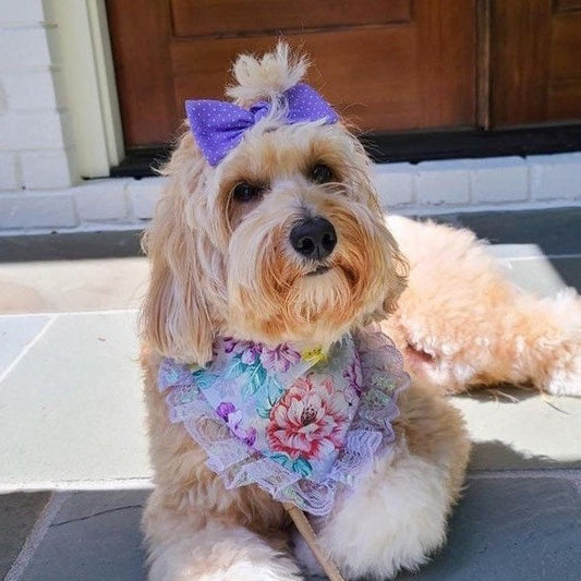 Floral Dog Bandana with Lace, Snap-On Scarf, Matching Bow
