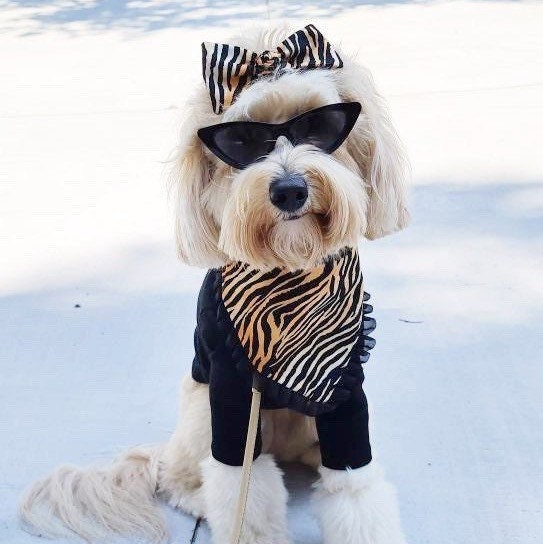 Reversible Tiger Cheetah Dog Bandana with Ruffle & Hair Bow