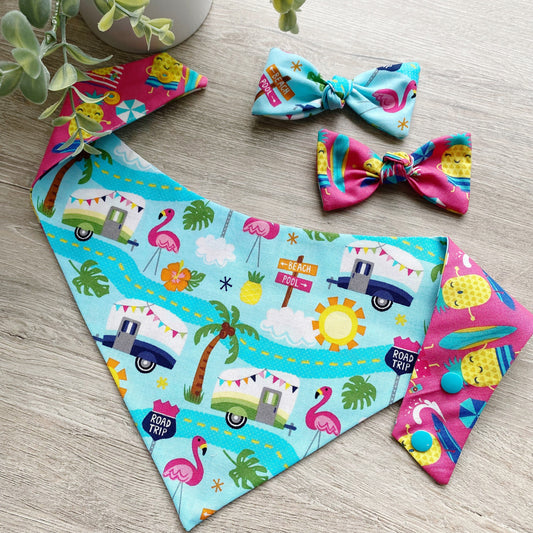 Cactus Road-trip Floral Dog Bandana