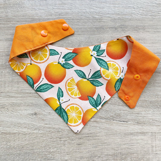 Summer Oranges Dog Bandana