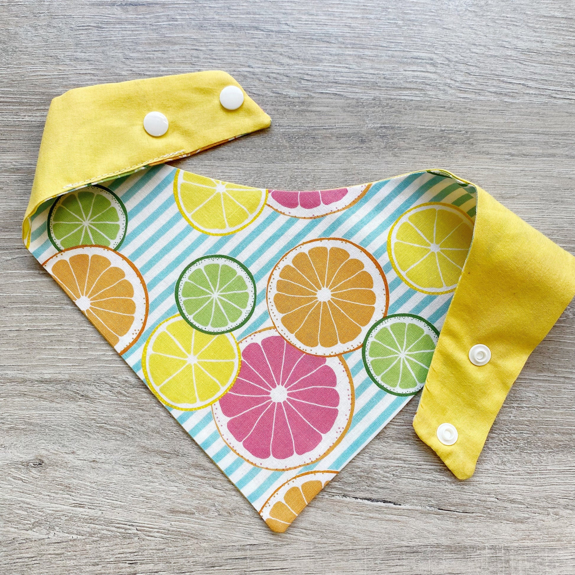 Grapefruit and Lime Summer Dog bandana
