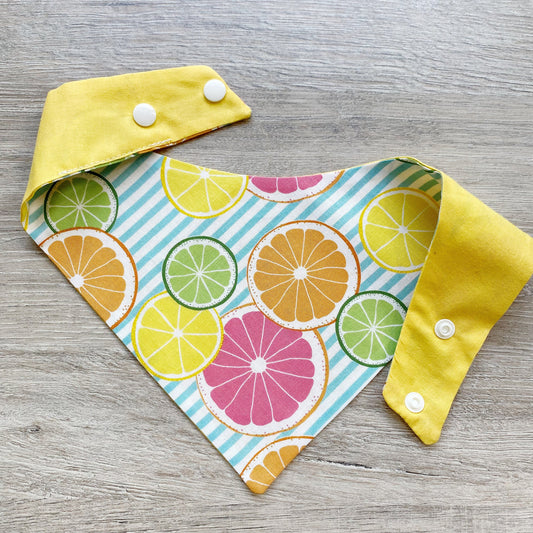Grapefruit and Lime Summer Dog bandana