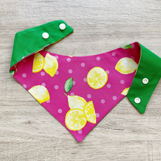 Pink Lemonade Summer Dog bandana