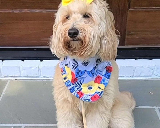 Yellow & Teal Floral Dog Bandana
