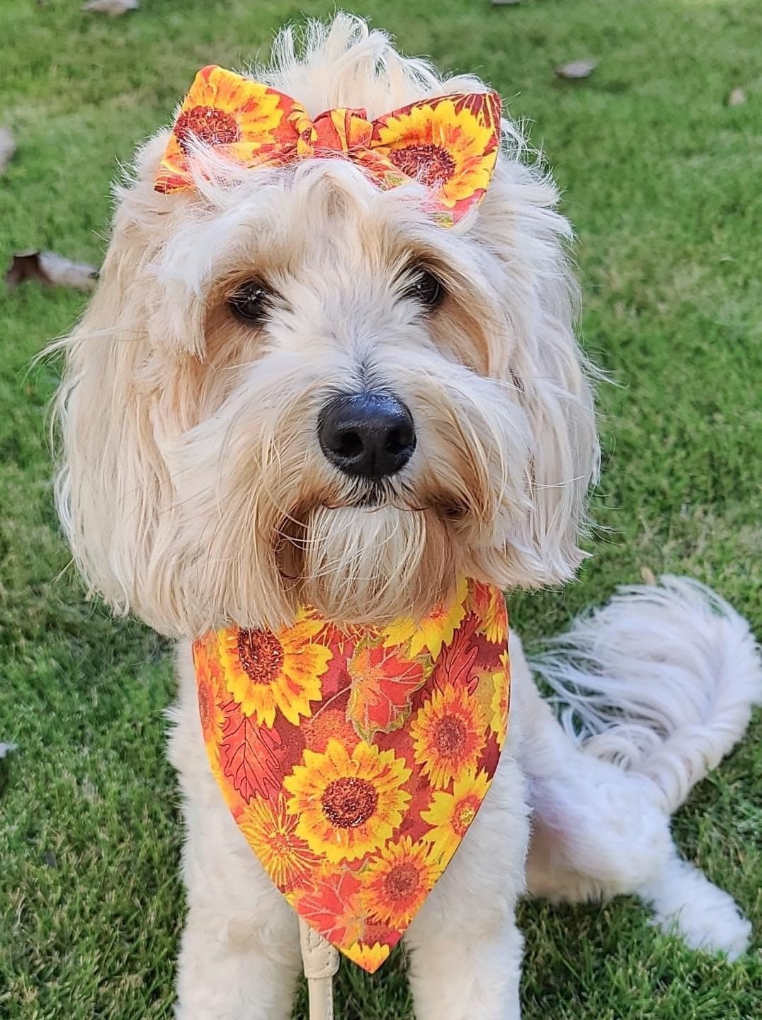 Daisy Gingham Dog Bandana, Autumn Pet Scarf with Hair Bow