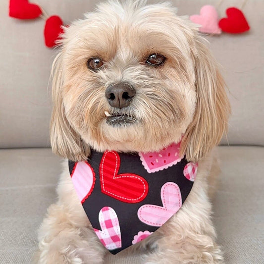 Valentines Dog Bandana, Hearts Reversible Snap Scarf, Matching Hair Bow