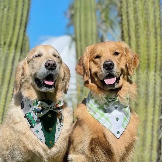 Tuxedo Dog Bandana with Bowtie, St Patrick’s Day Pet Scarf