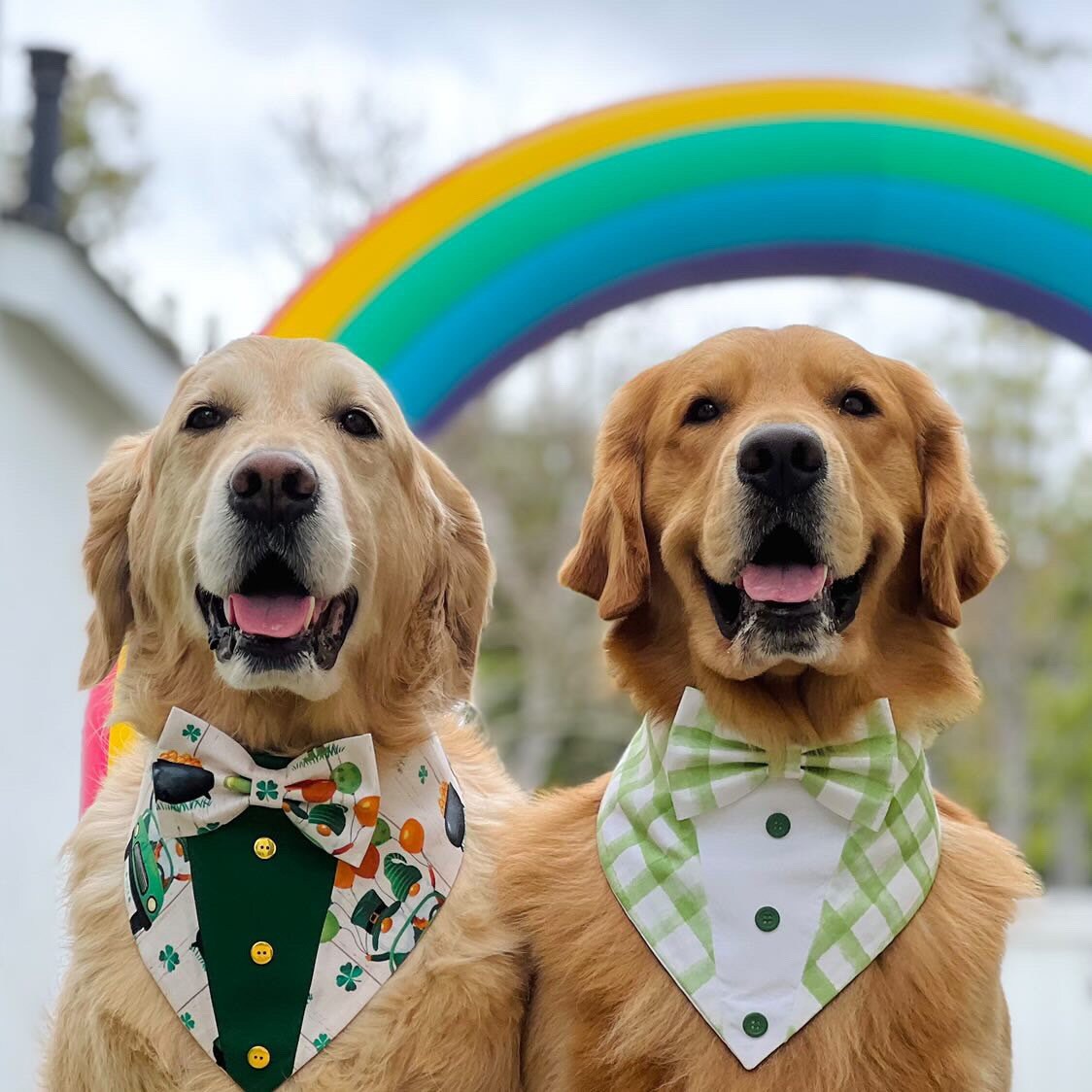 Custom Tuxedo Dog Tuxedo Bandana