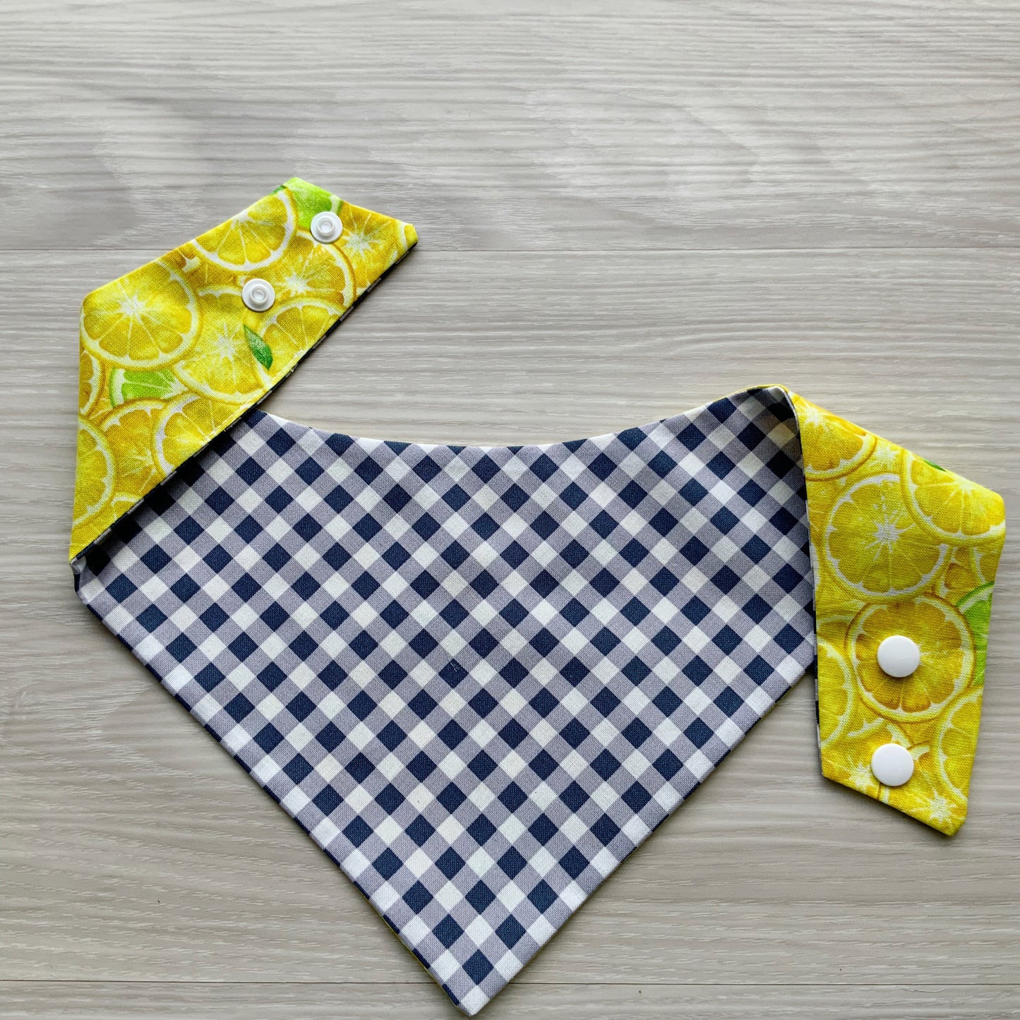 Strawberry and Cherry Fruit dog Bandana