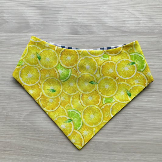 Strawberry and Cherry Fruit dog Bandana
