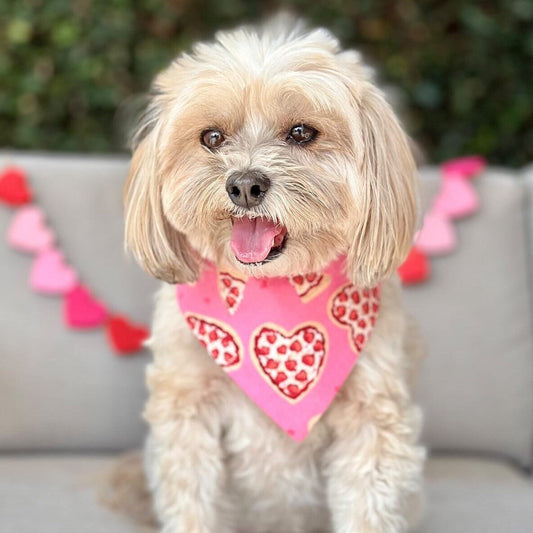 Valentines Pizza Dog Bandana, Reversible Snap Scarf, Matching Bow Set