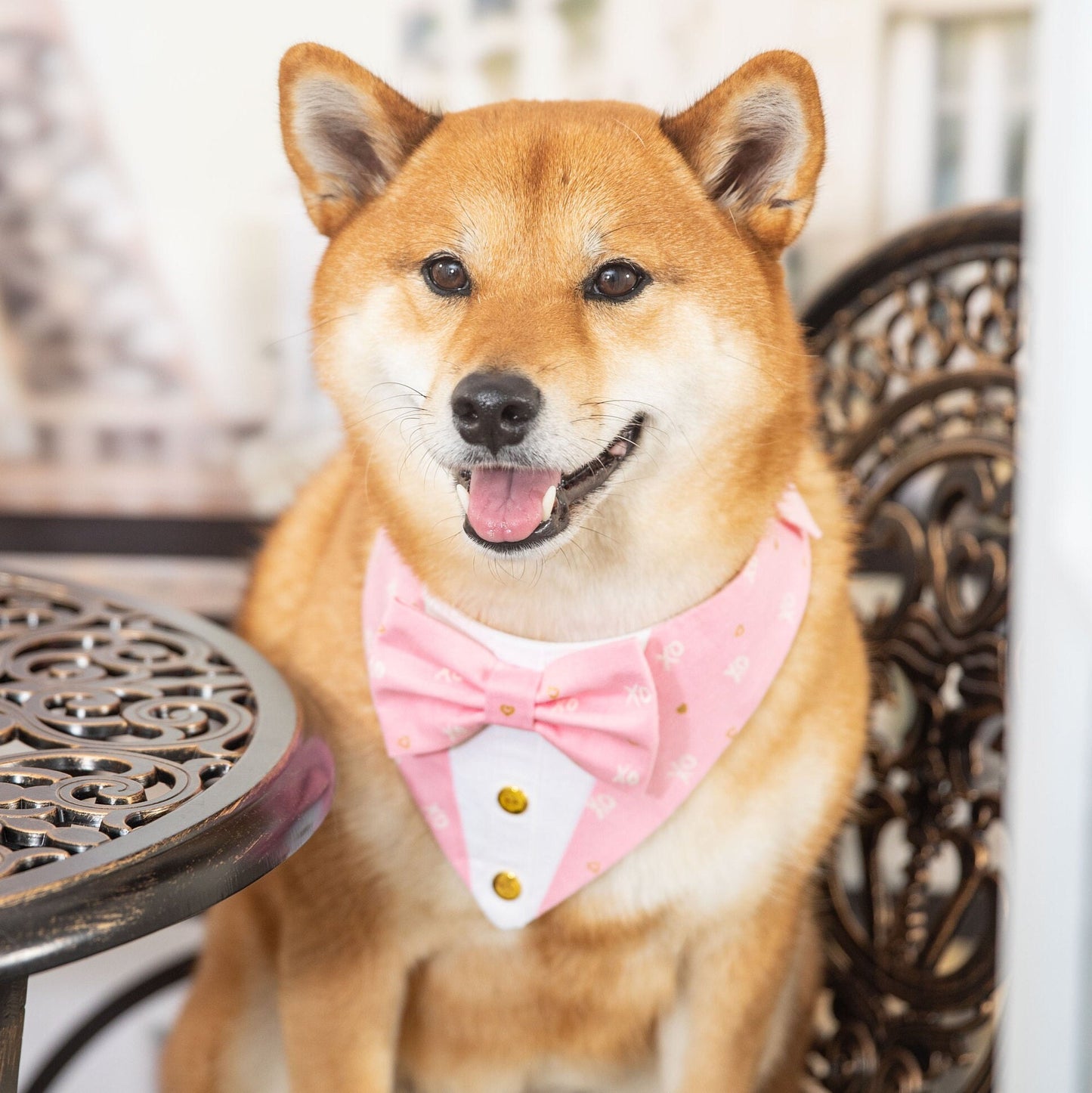 Valentines Day Dog Bandana with Bowtie, Tuxedo Pet Scarf