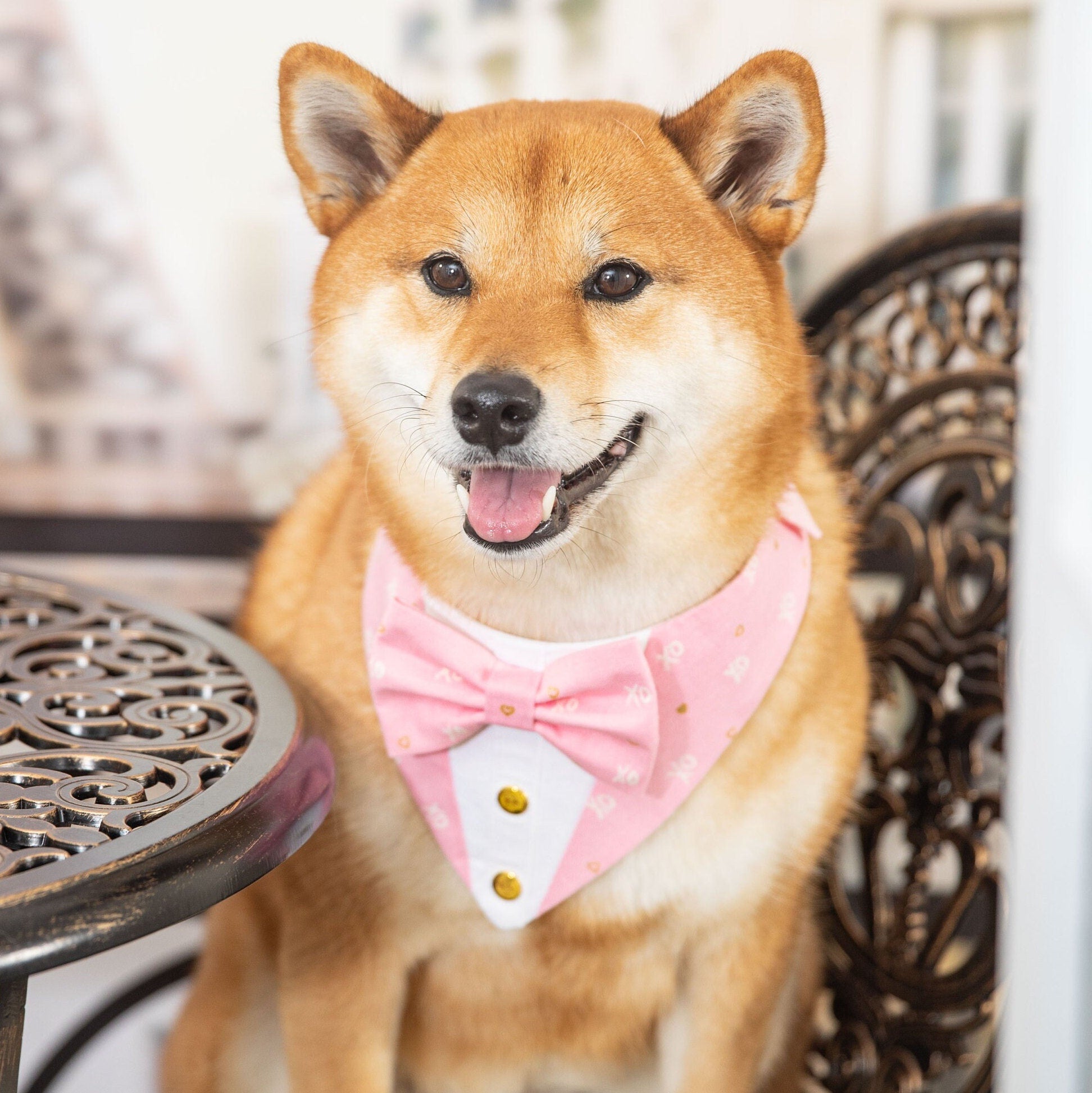 Valentines Day Dog Bandana with Bowtie, Tuxedo Pet Scarf