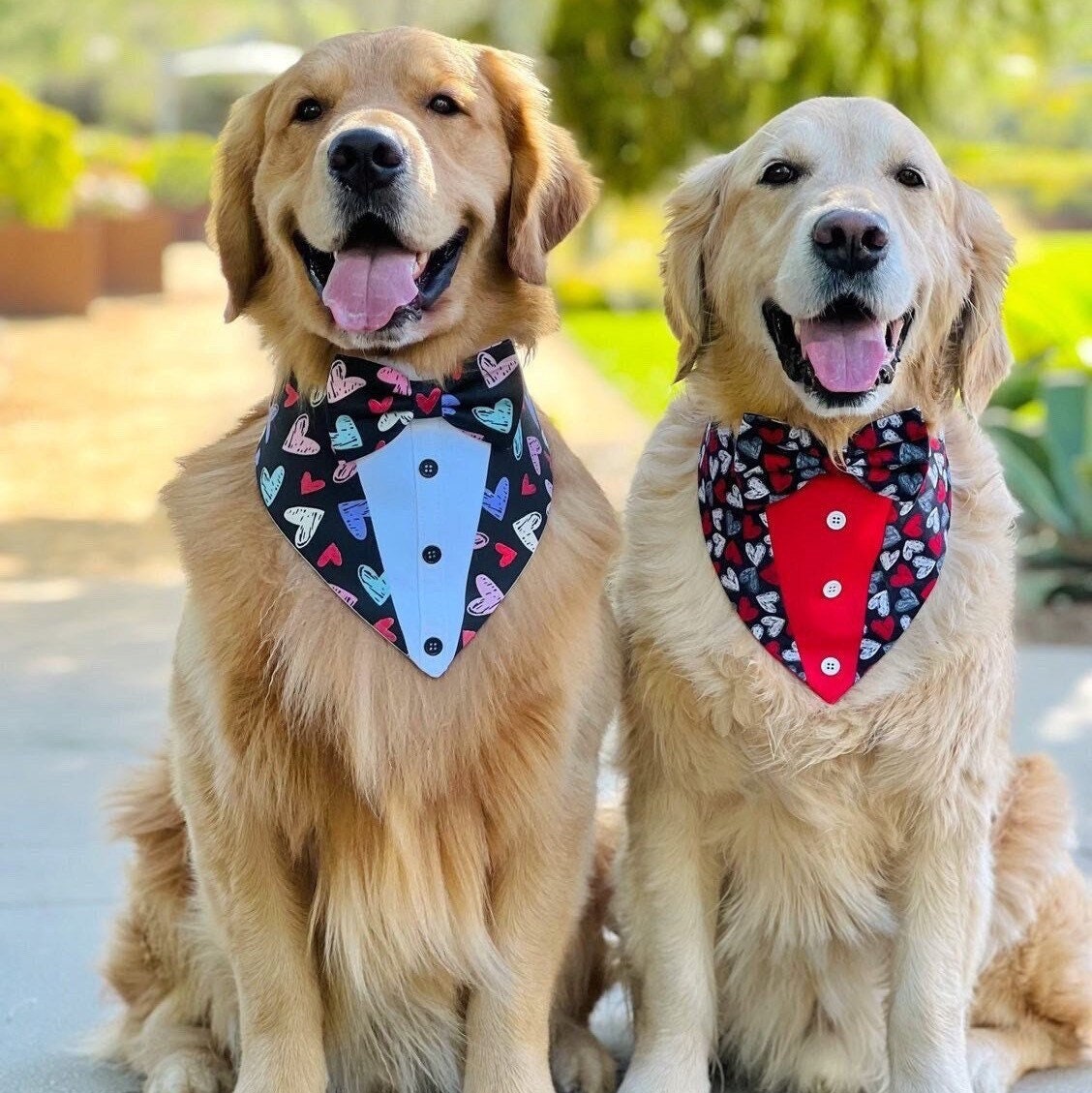 Tuxedo Dog Bandana with Bowtie, Valentine's Day Pet Scarf