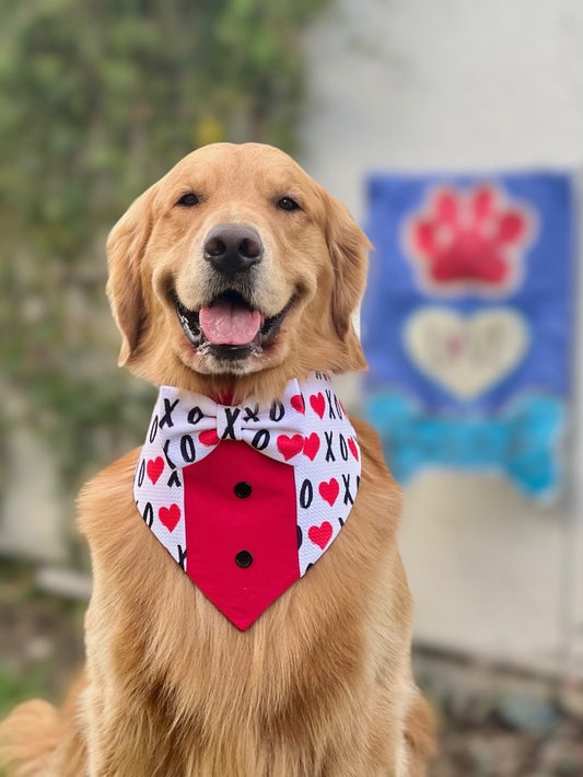 XoXo Tuxedo dog bandana, Valentines Day bandana