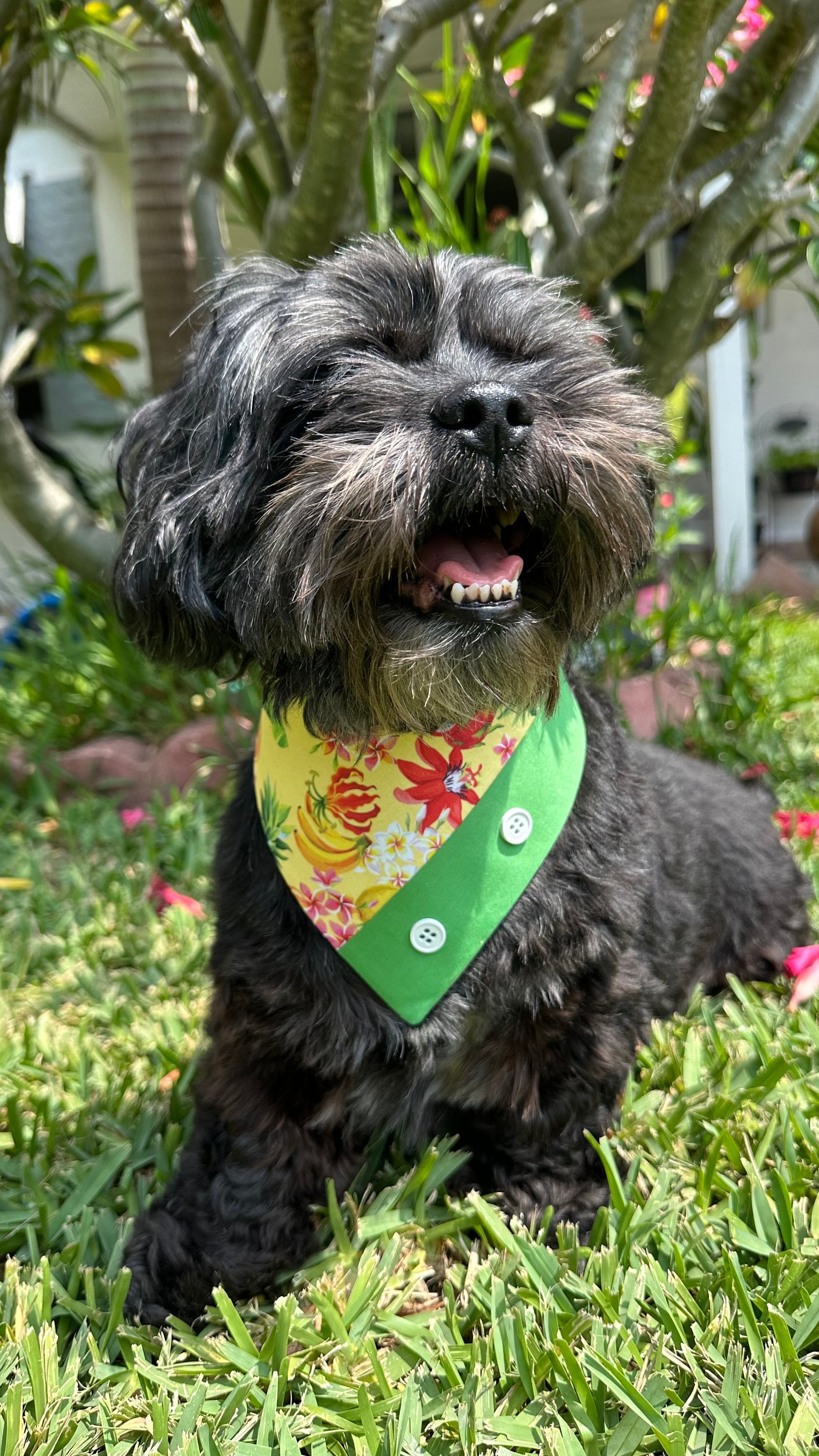 Tropicana Hawaiian Dog Bandana, accessories for pets, gift for puppies, Summer pet scarf