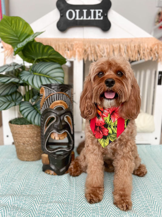 Teal Hawaiian Floral Dog Bandana with Snaps