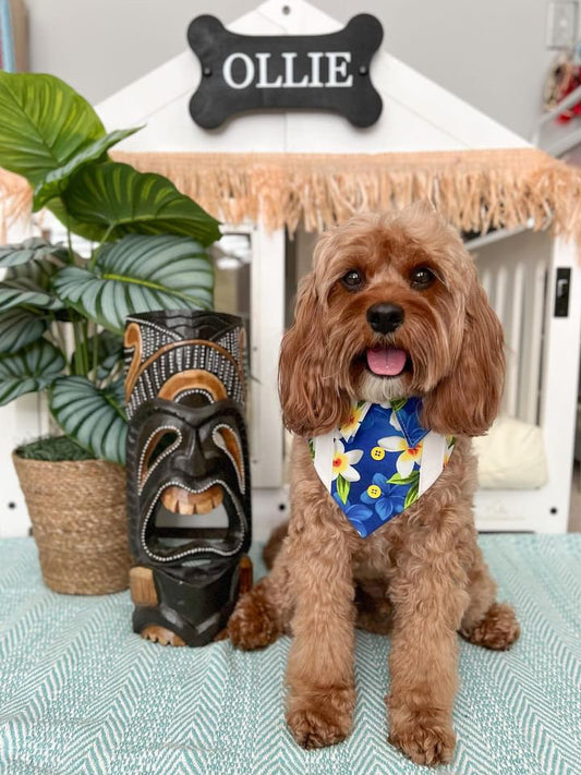 Blue Hawaiian Floral Dog Bandana with Snaps, Pet Scarf