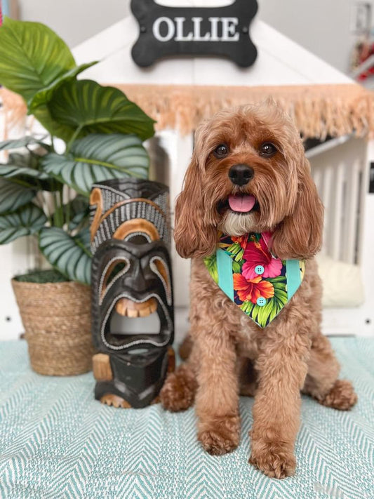 Teal Hawaiian Floral Dog Bandana with Snaps
