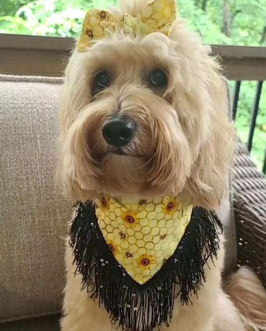Sunflower and Bee Summer Dog Bandana