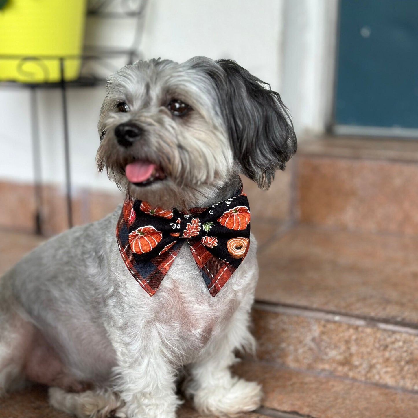 Fall Dog Tuxedo Collar bandana, Pumpkin brown plaid bowtie, Dog Formal Collar, Pointed Shirt Collar, bowtie, boy dog bandana.