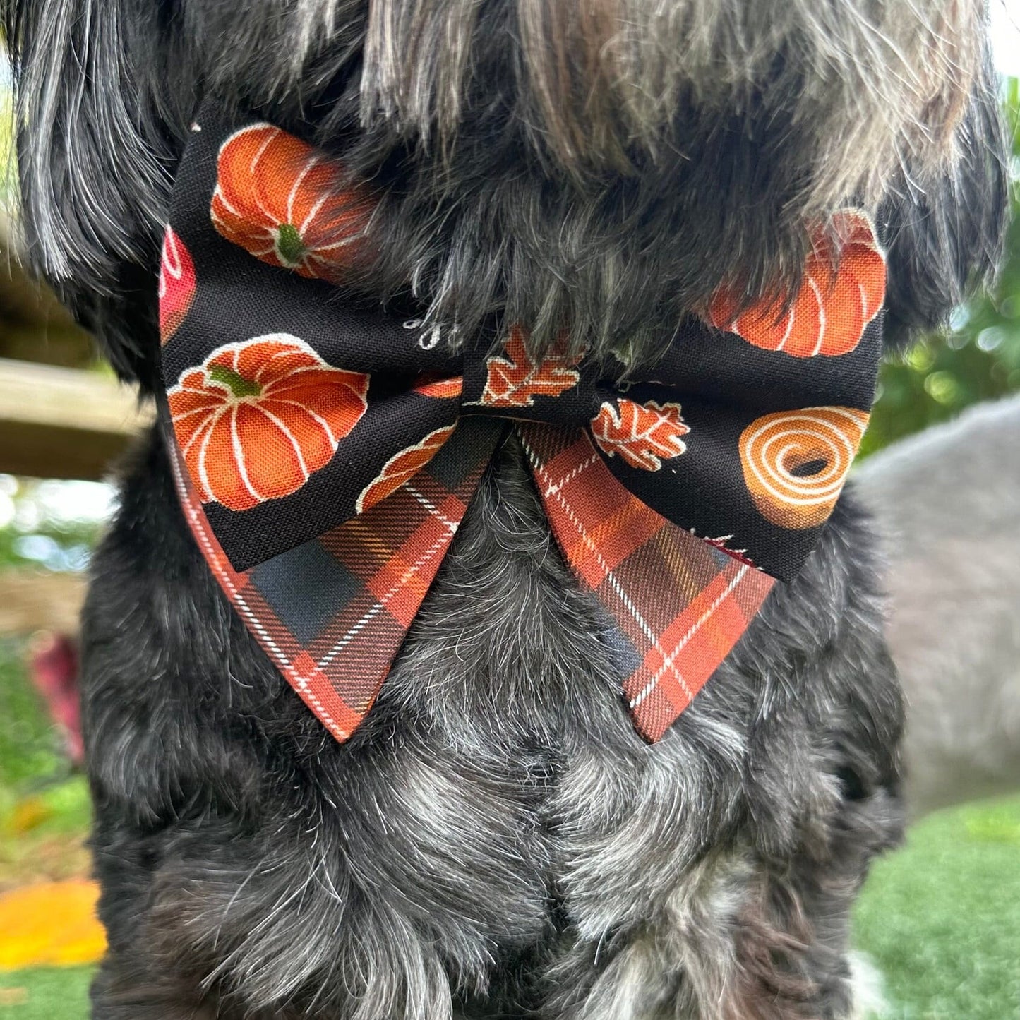 Fall Dog Tuxedo Collar bandana, Pumpkin brown plaid bowtie, Dog Formal Collar, Pointed Shirt Collar, bowtie, boy dog bandana.