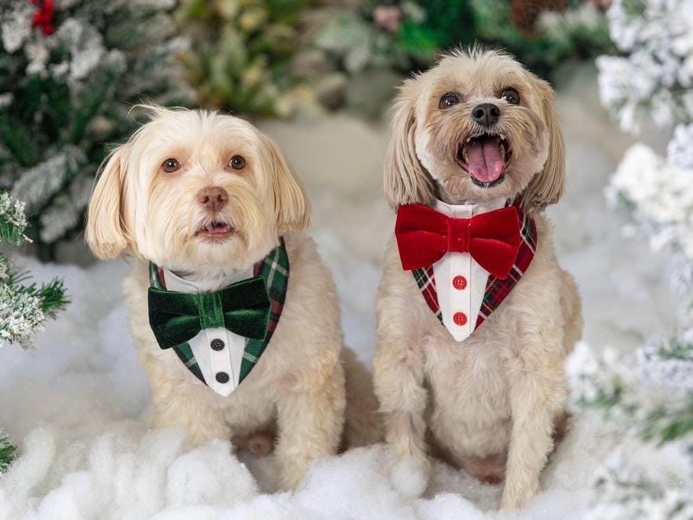 Christmas Pink Ginger Bread Dog Tuxedo Bandana, Christmas dog gift, pet neckwear for the holidays, dog accessories