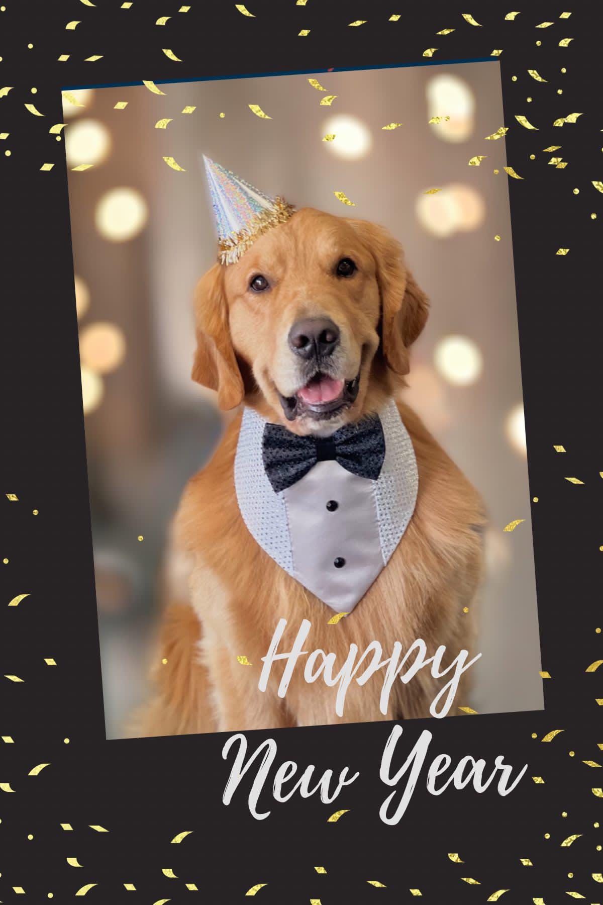 New Years Dog Tuxedo, Silver and Black