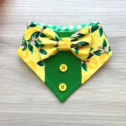 Spring Dog Tuxedo Bandana