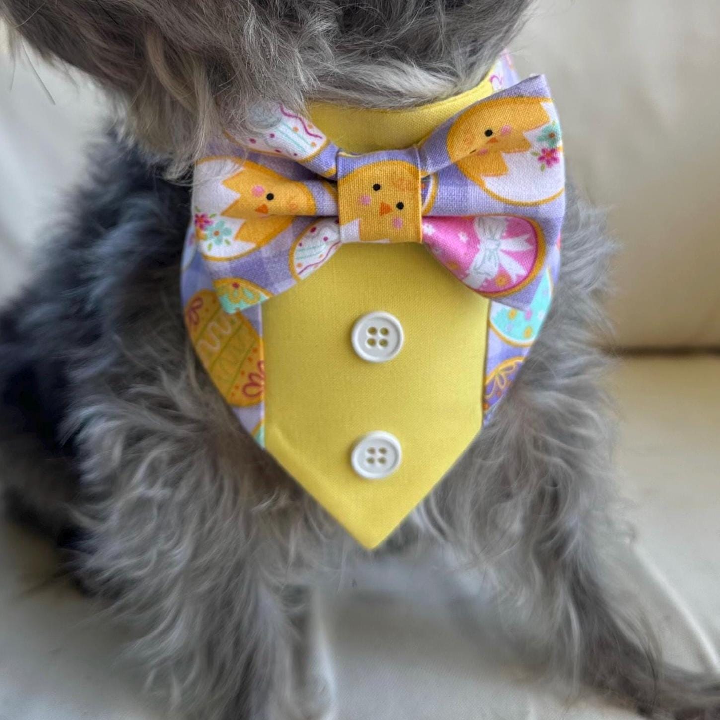Easter Dog Tuxedo Bandana, Hatching eggs